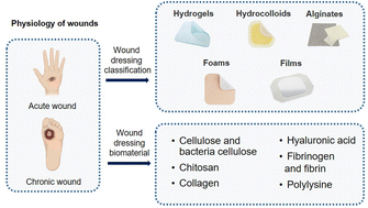 Biomedical materials for wound dressing: recent advances and 