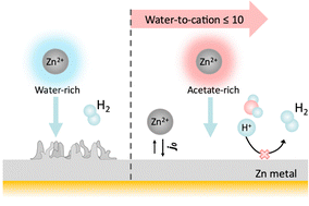 Creating water-in-salt-like environment using coordinating anions in