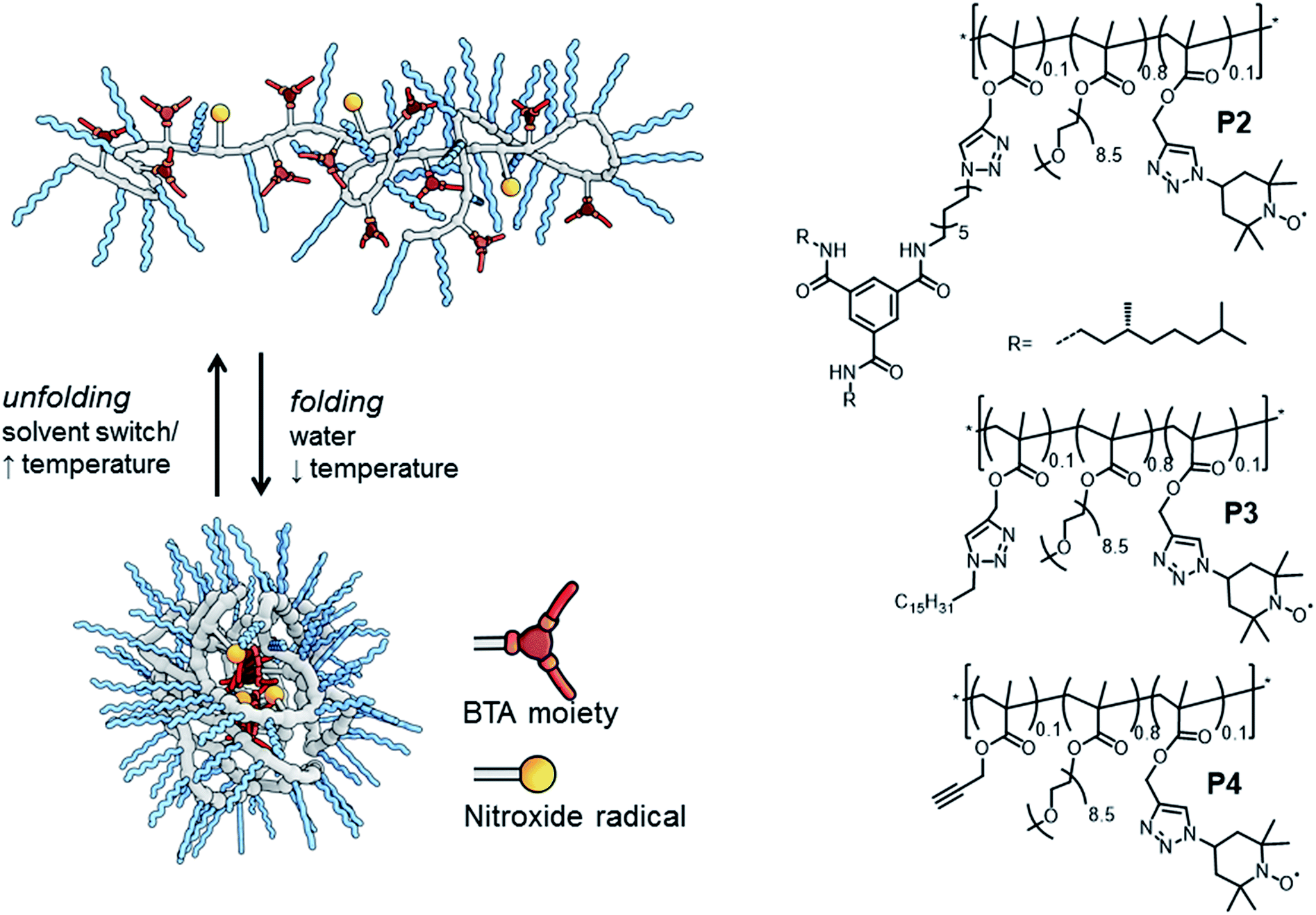 Surface water retardation around singlechain polymeric nanoparticles
