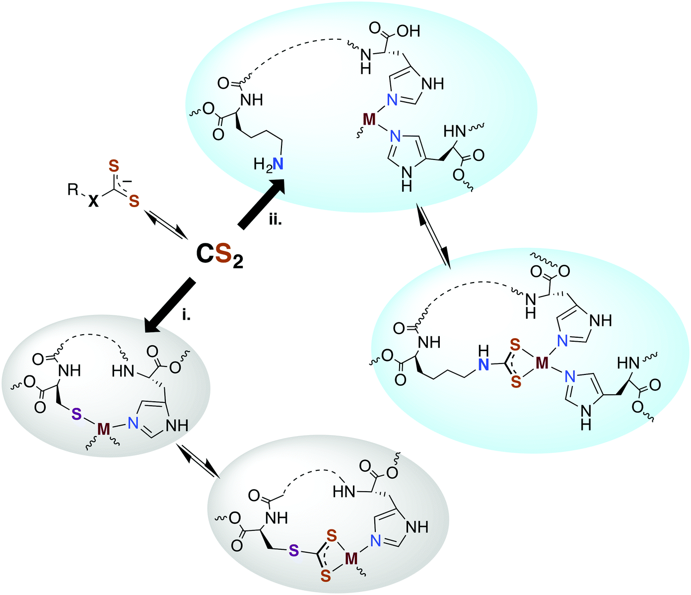 Carbon disulfide. Just toxic or also bioregulatory and/or therapeutic