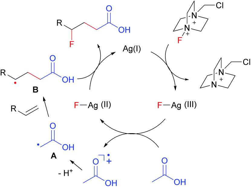 Silvercatalyzed radical carbofluorination of unactivated alkenes with