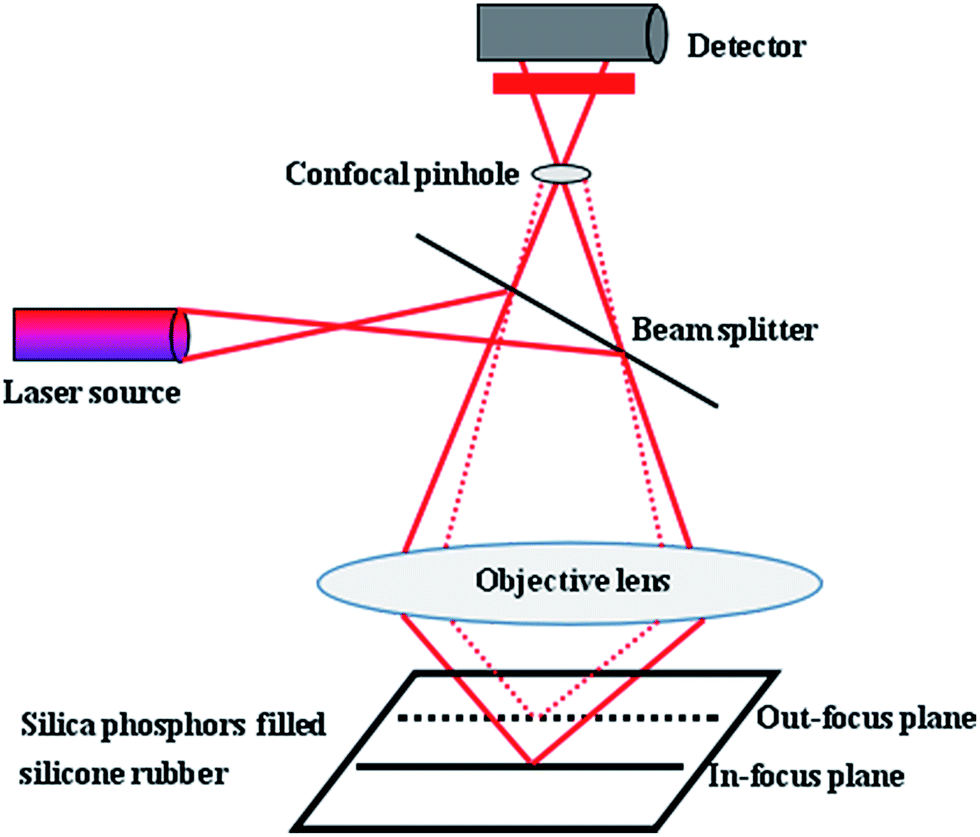 Visualization of filler network in silicone rubber with confocal laser