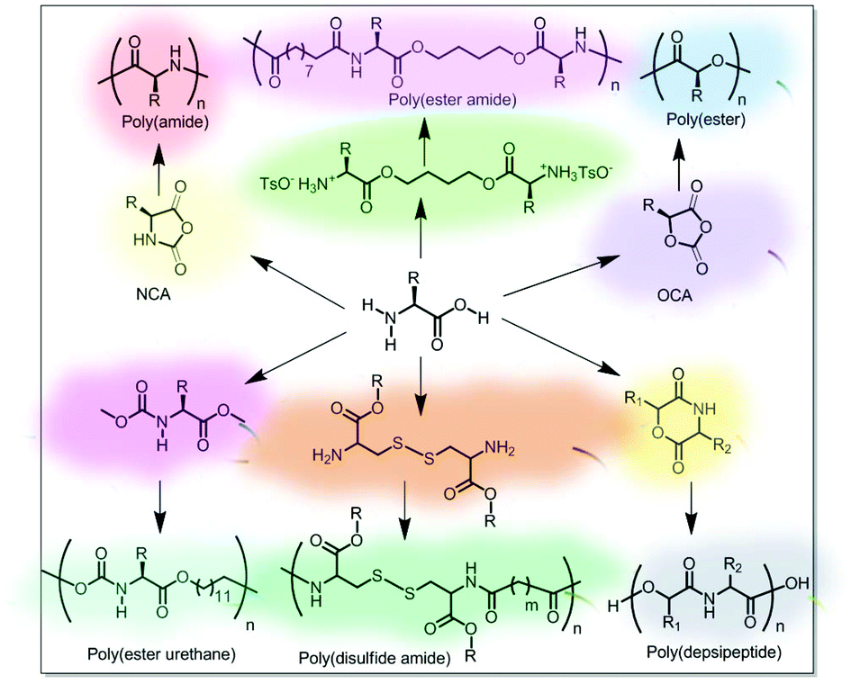 amine group and acid reaction