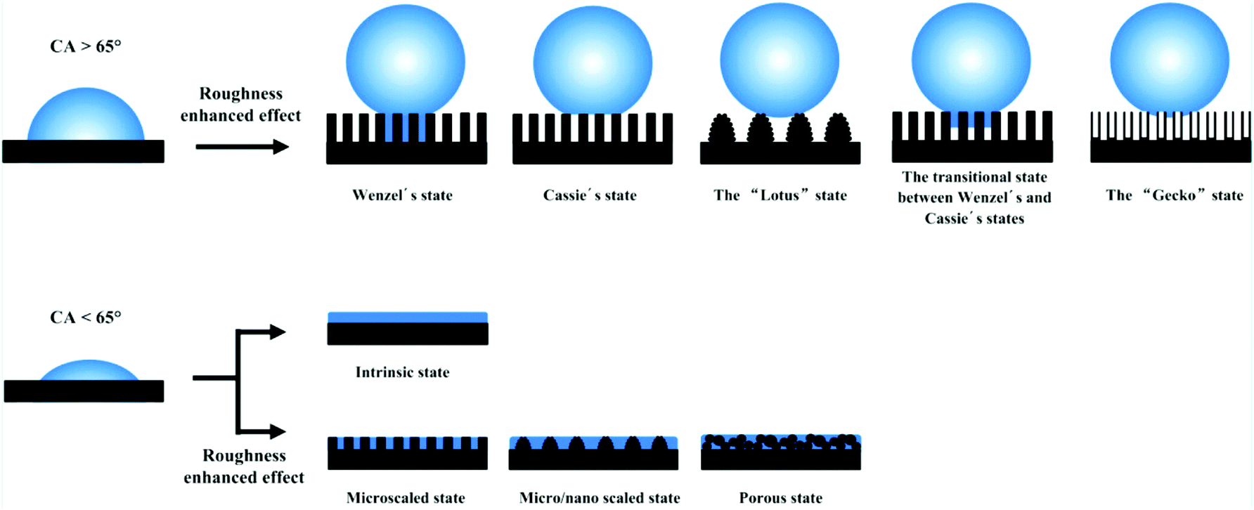 Journal Of Applied Biomaterials And Functional Materials Impact Factor