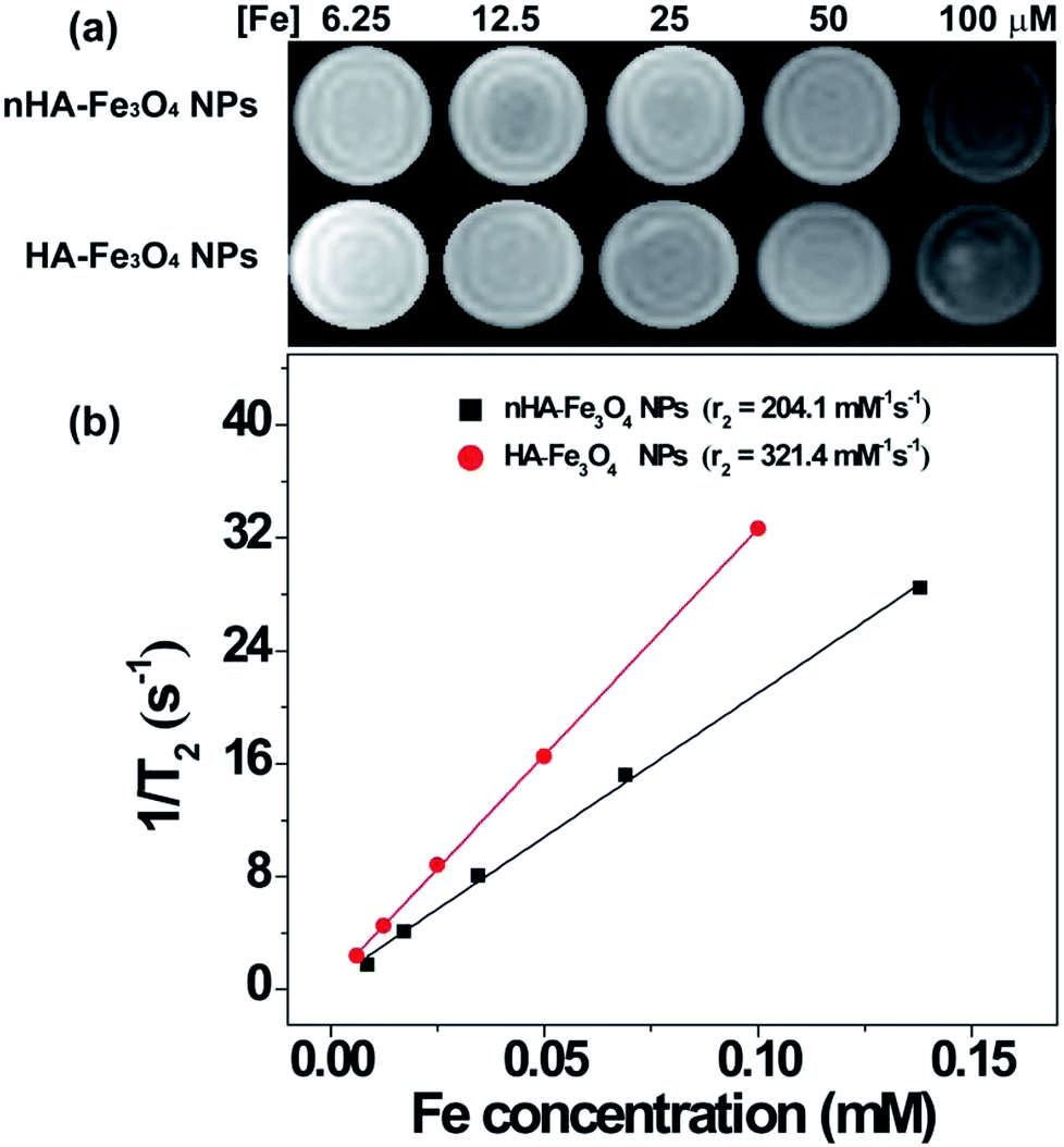 Hyaluronic acidmediated multifunctional iron oxidebased MRI