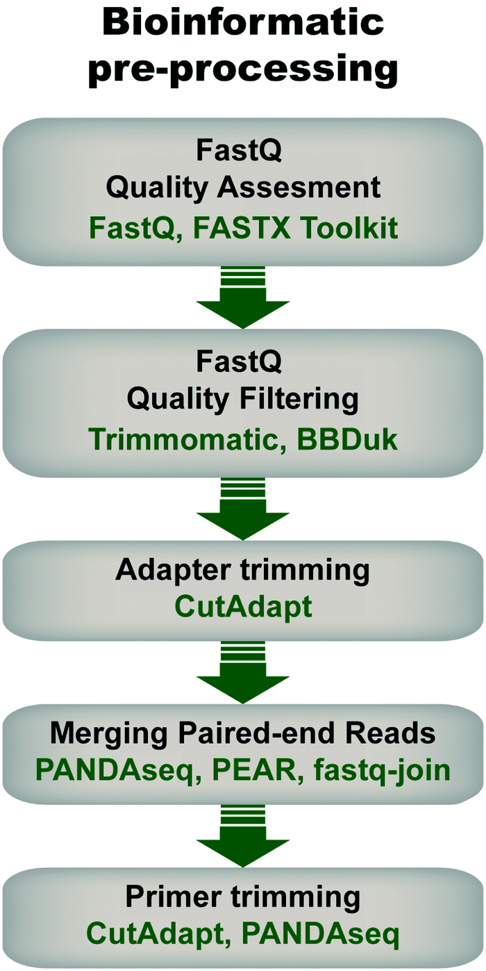 High throughput sequencing of in vitro selections of mRNA