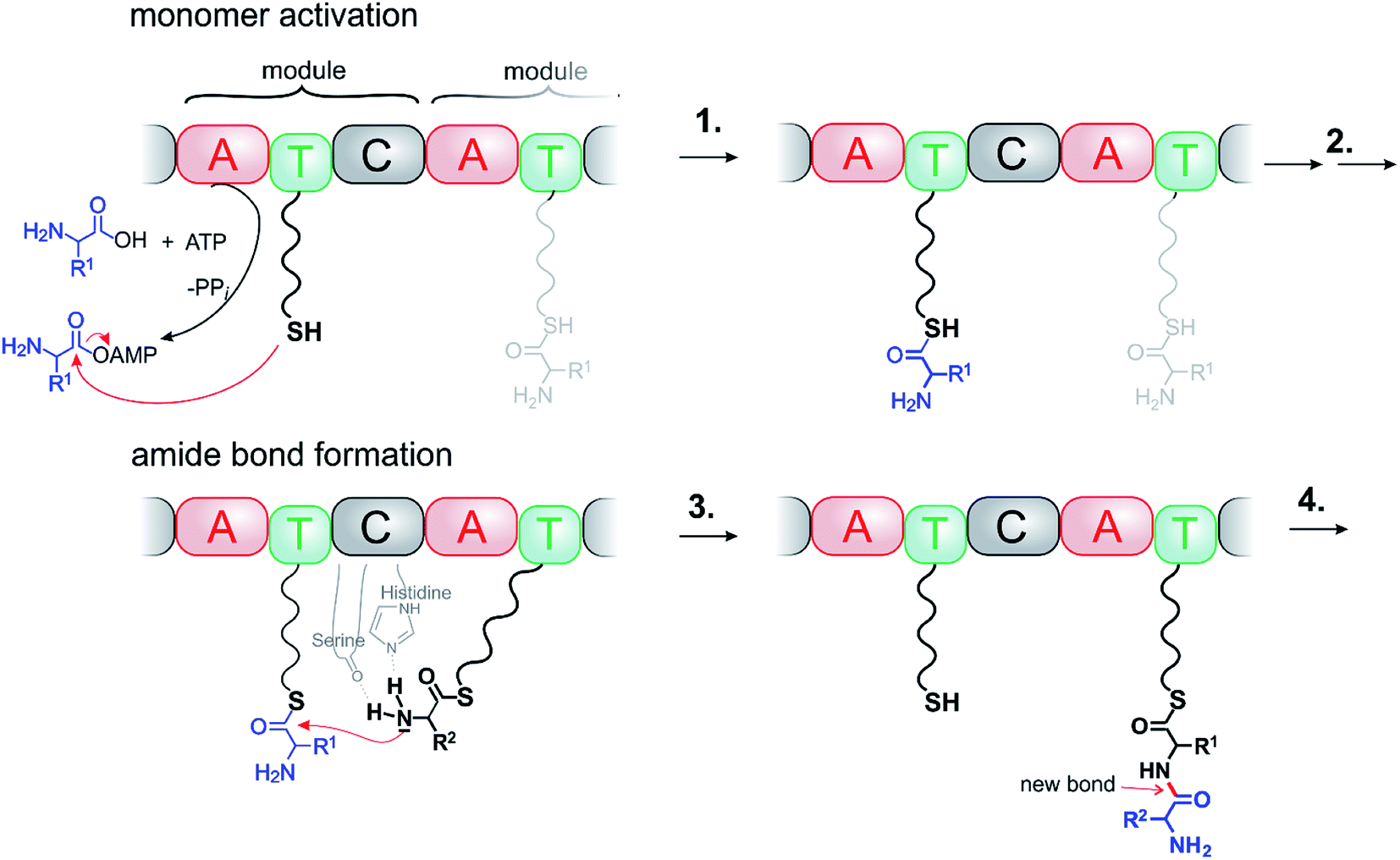 Molecular assemblers molecular machines performing