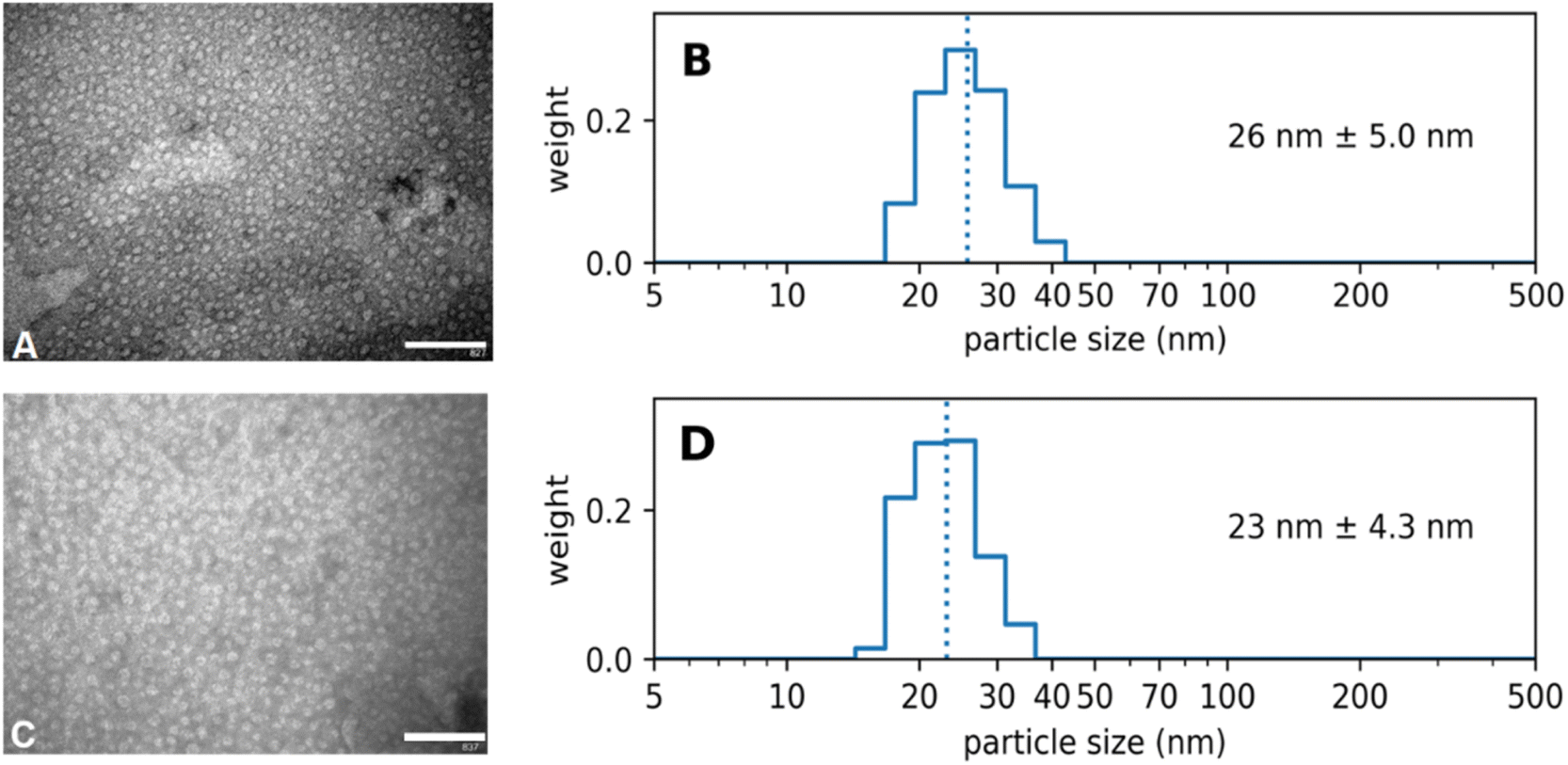 Albuminbased nanoparticles small, uniform and reproducible