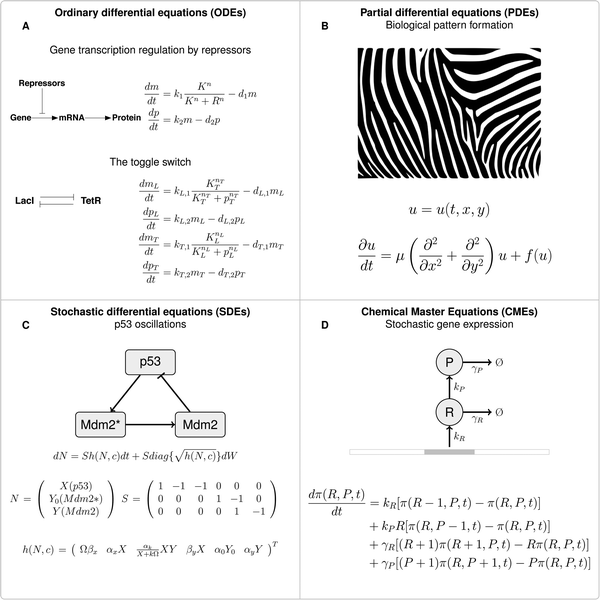 Computational design approaches and tools for synthetic