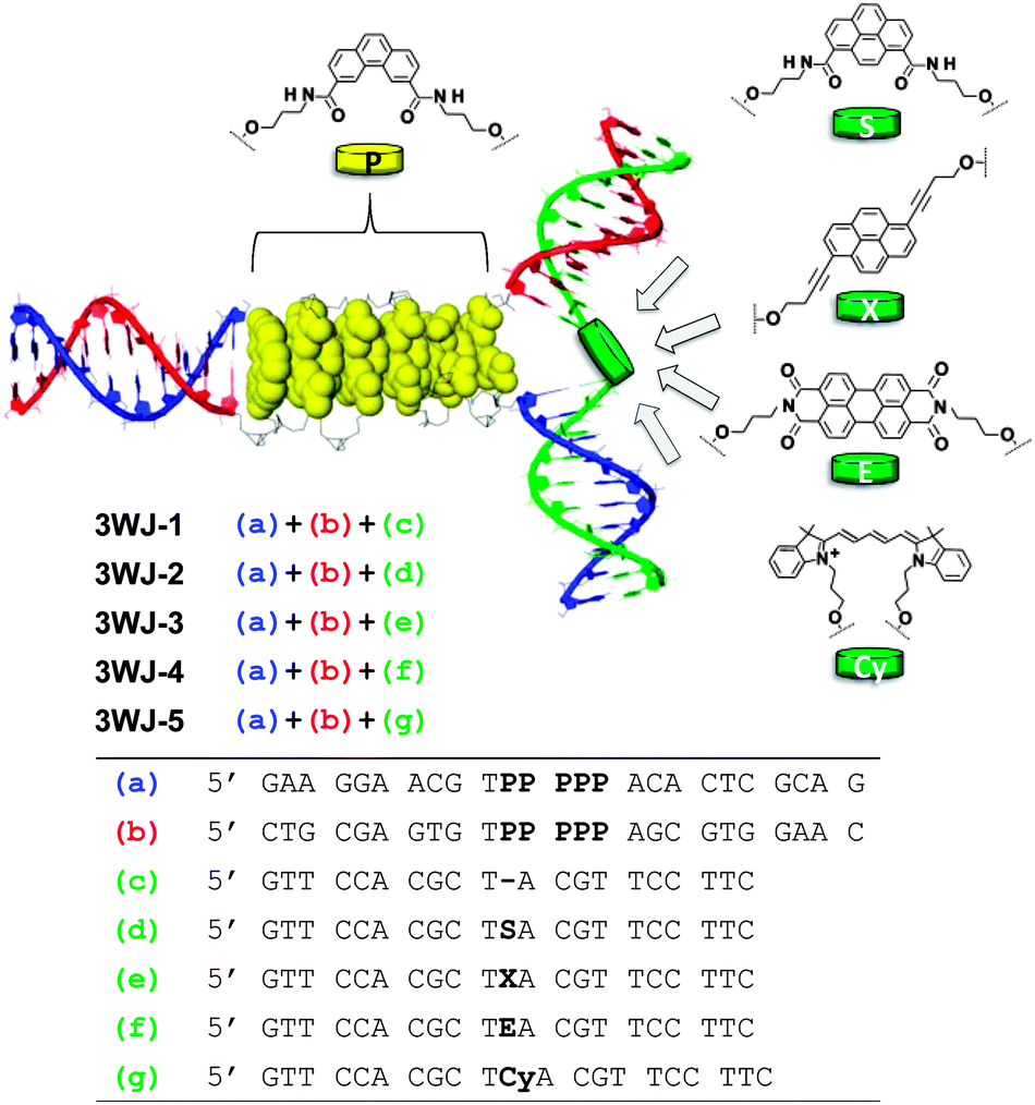 A modular LHC built on the DNA threeway junction