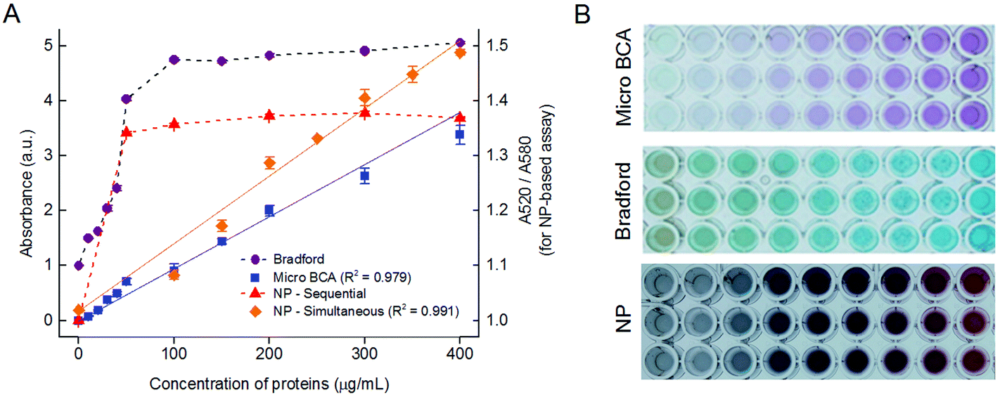 😎 Bca assay protocol sigma. The Bicinchoninic Acid (BCA) Assay for