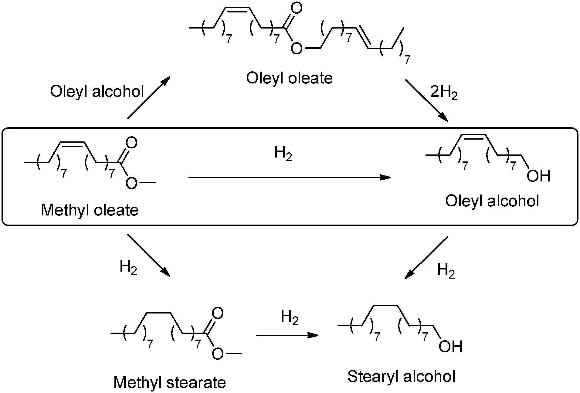Heterogeneous and homogeneous catalysis for the hydrogenation of
