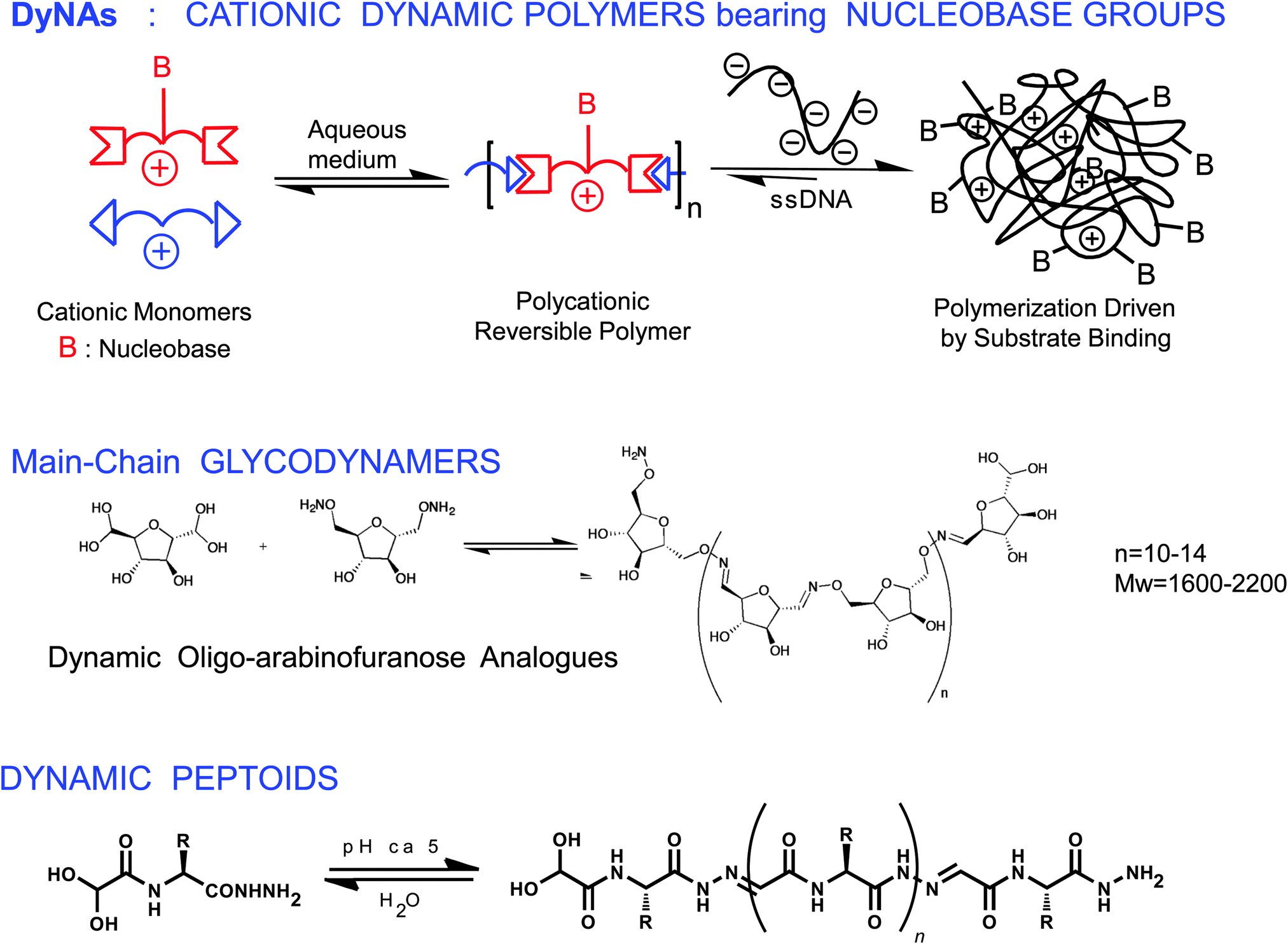 DYNAMERS dynamic polymers as selfhealing materials Chemical Society