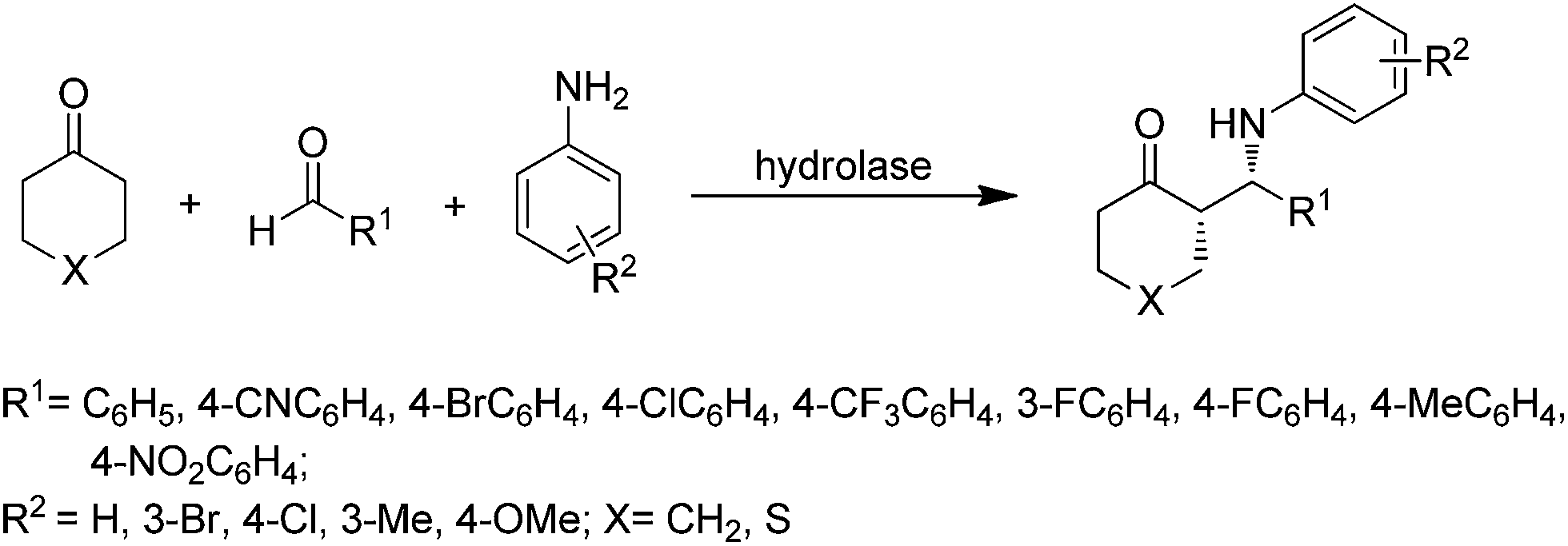 HYDROLASE ENZYME PDF (Pdf Plus.)