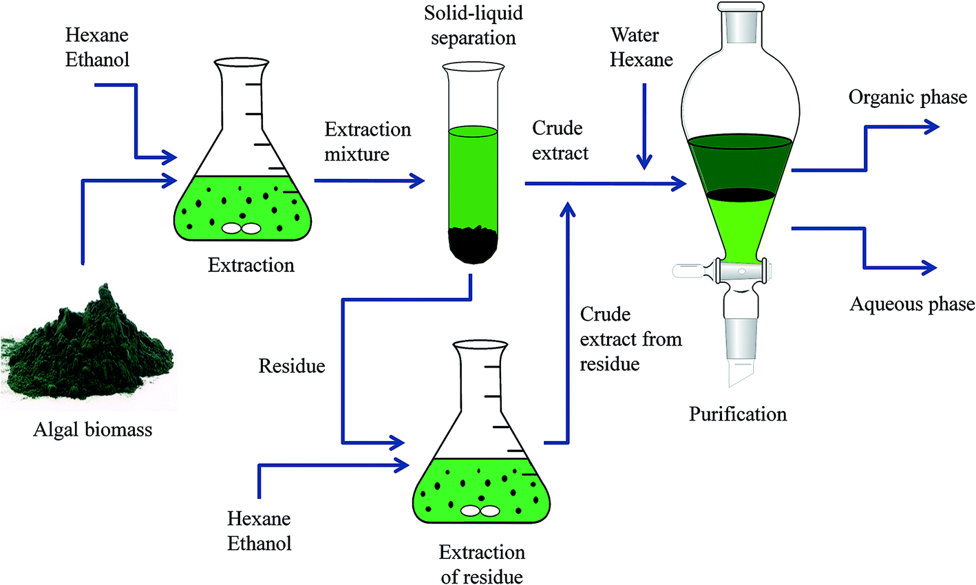 Experimental study and thermodynamic modeling for purification of