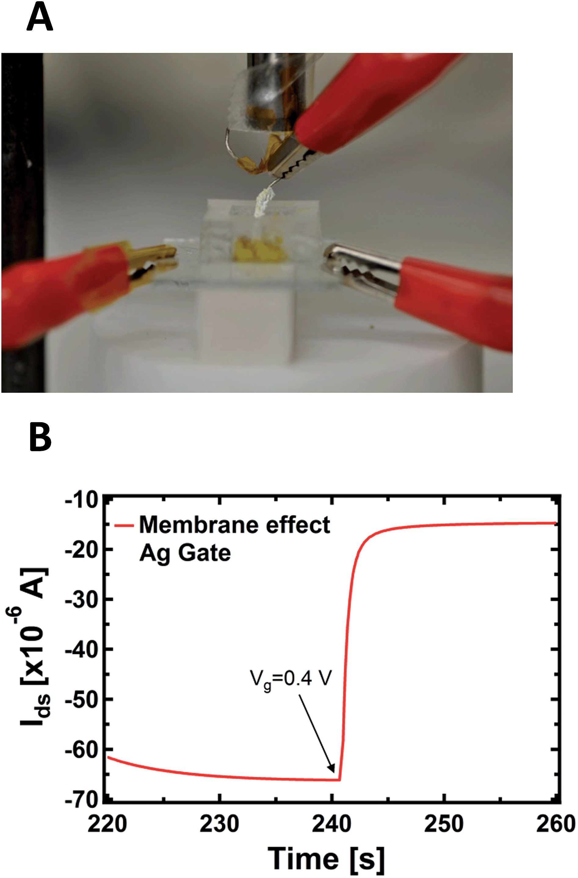 A hybrid electrochemical transistor based on the