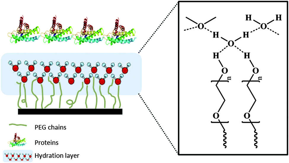 Nontoxic, nonbiociderelease antifouling coatings based on molecular