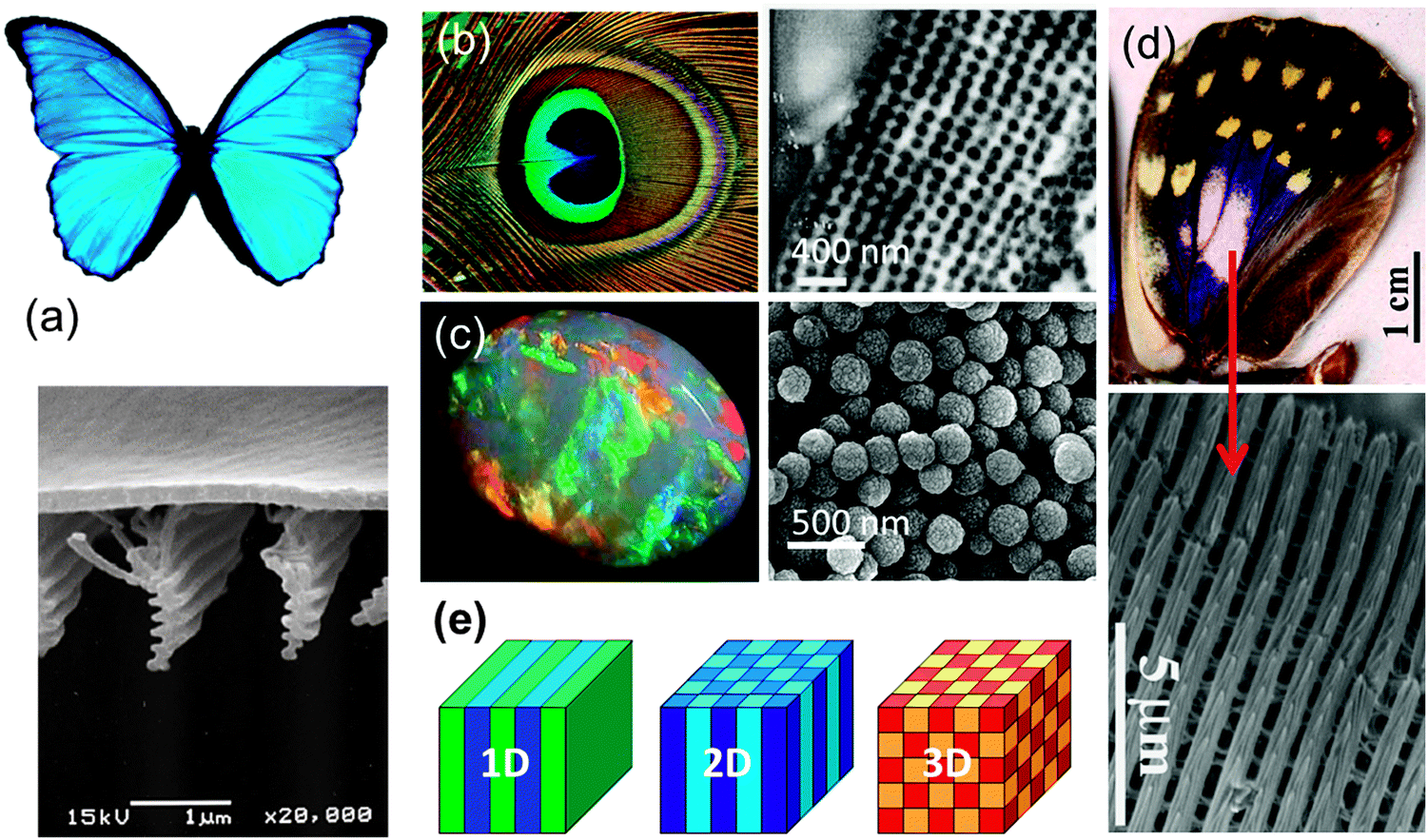 Artificial opal photonic crystals and inverse opal structures