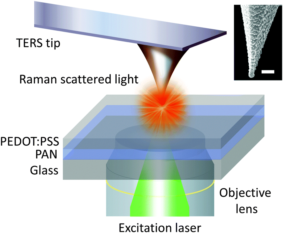 Extending the plasmonic lifetime of tipenhanced Raman spectroscopy