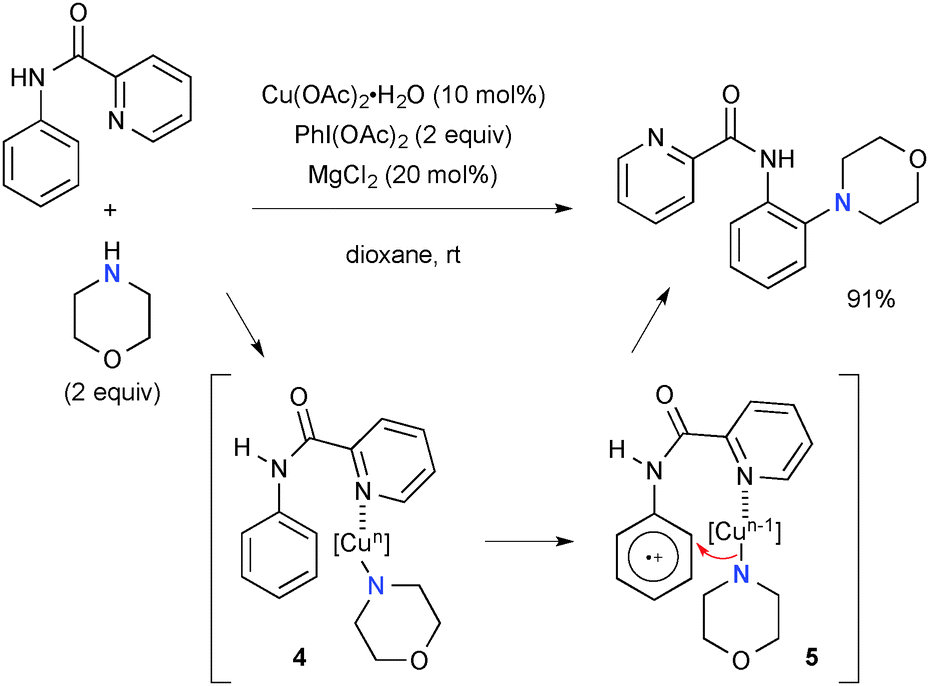 Coppercatalyzed oxidative carbonheteroatom bond formation a recent
