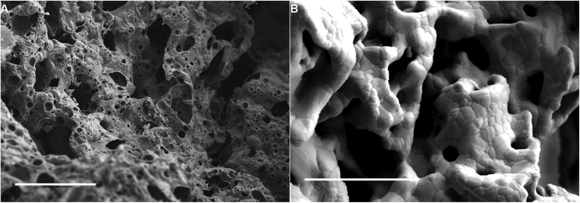 Formation of 3D graphene foams on soft templated metal monoliths