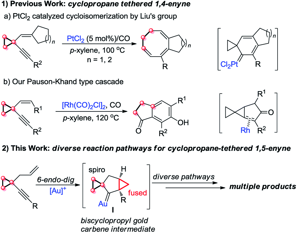 Divergent reaction pathways in goldcatalyzed cycloisomerization of 1,5