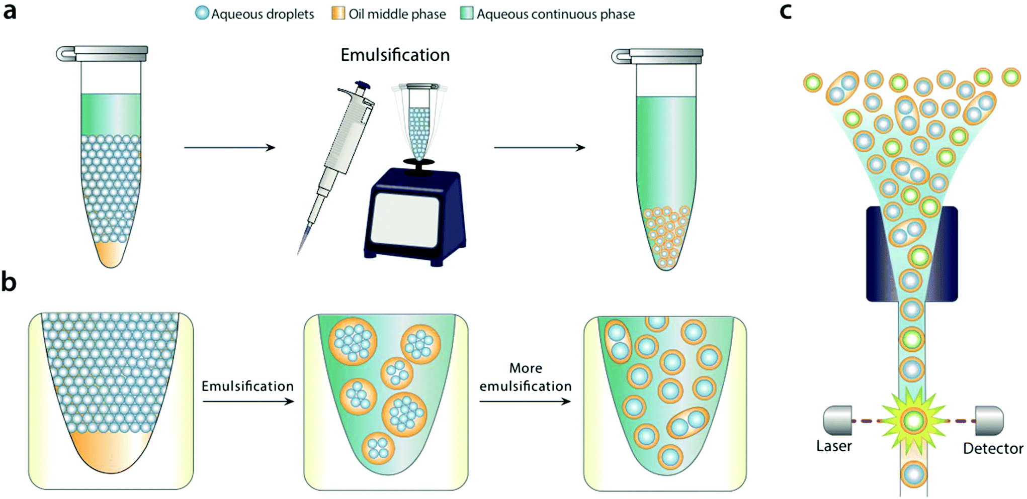 Bulk double emulsification for flow cytometric analysis of microfluidic