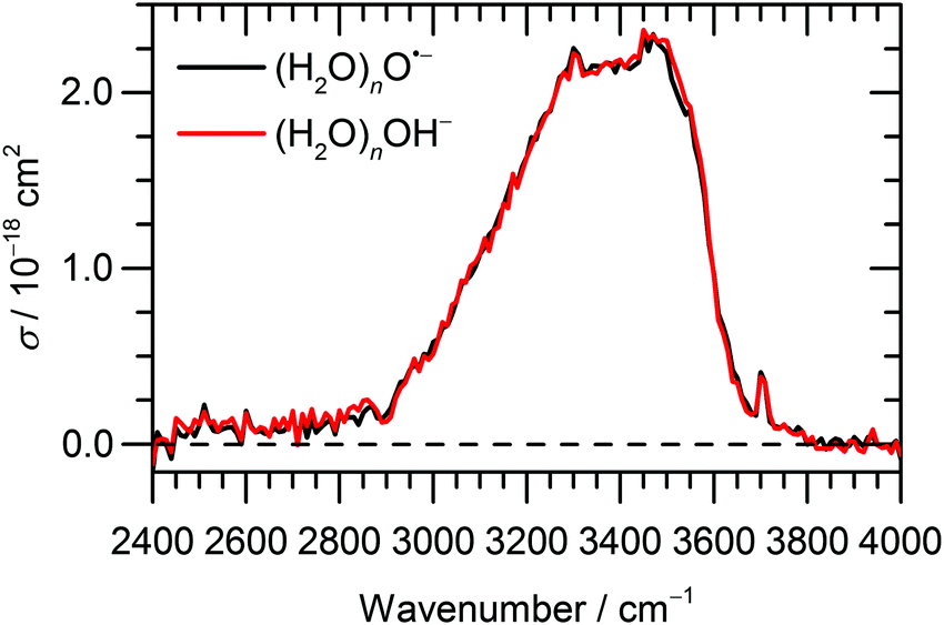 Infrared spectroscopy of O˙ − and OH − in water clusters evidence for fast interconversion