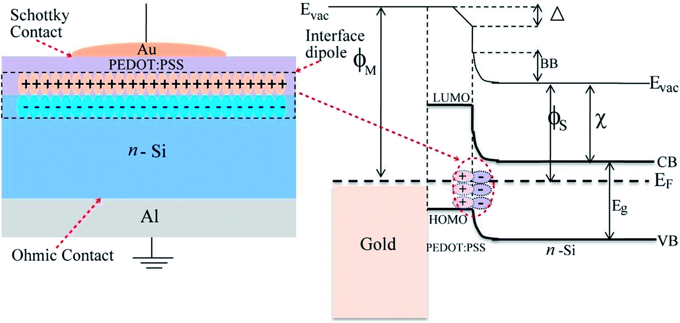 Composition analysis of two different PEDOTPSS commercial