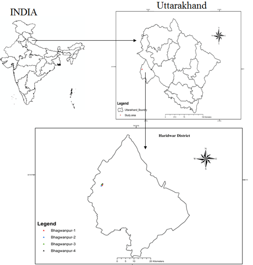Figure 1. Water sample collection sites of Bhagwanpur area in Map
