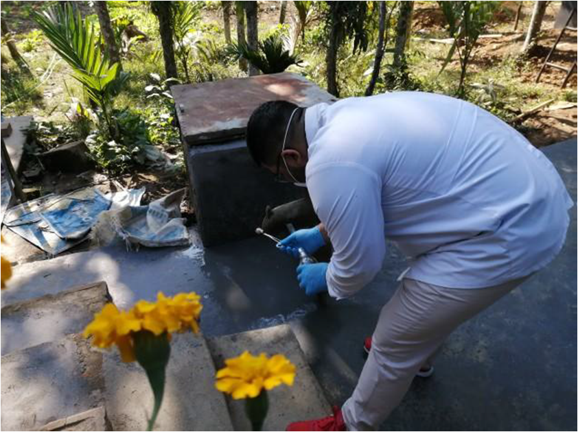 Figure First Evidence of Bacterial Contamination in Drinking Water