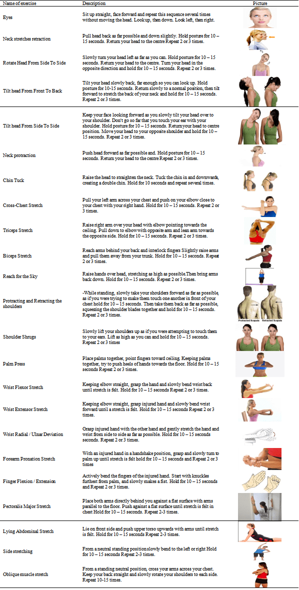 Stretching Exercises to Prevent Workrelated Musculoskeletal Disorders