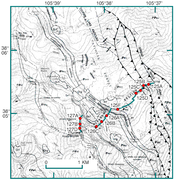 Minturn Formation Reference Section