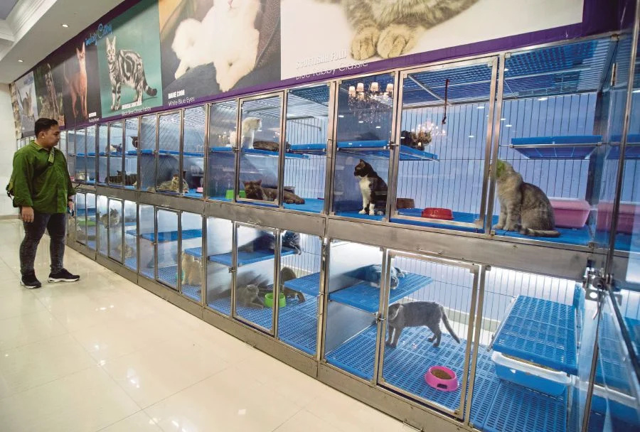 Puchong Pet Shop Shopping puchong.co