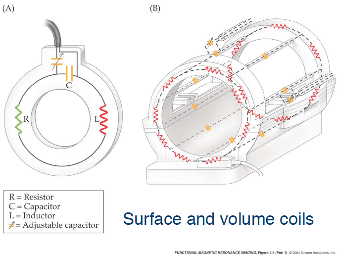 Lecture 1 Basics of the physics behind Resonance Imaging (MRI)