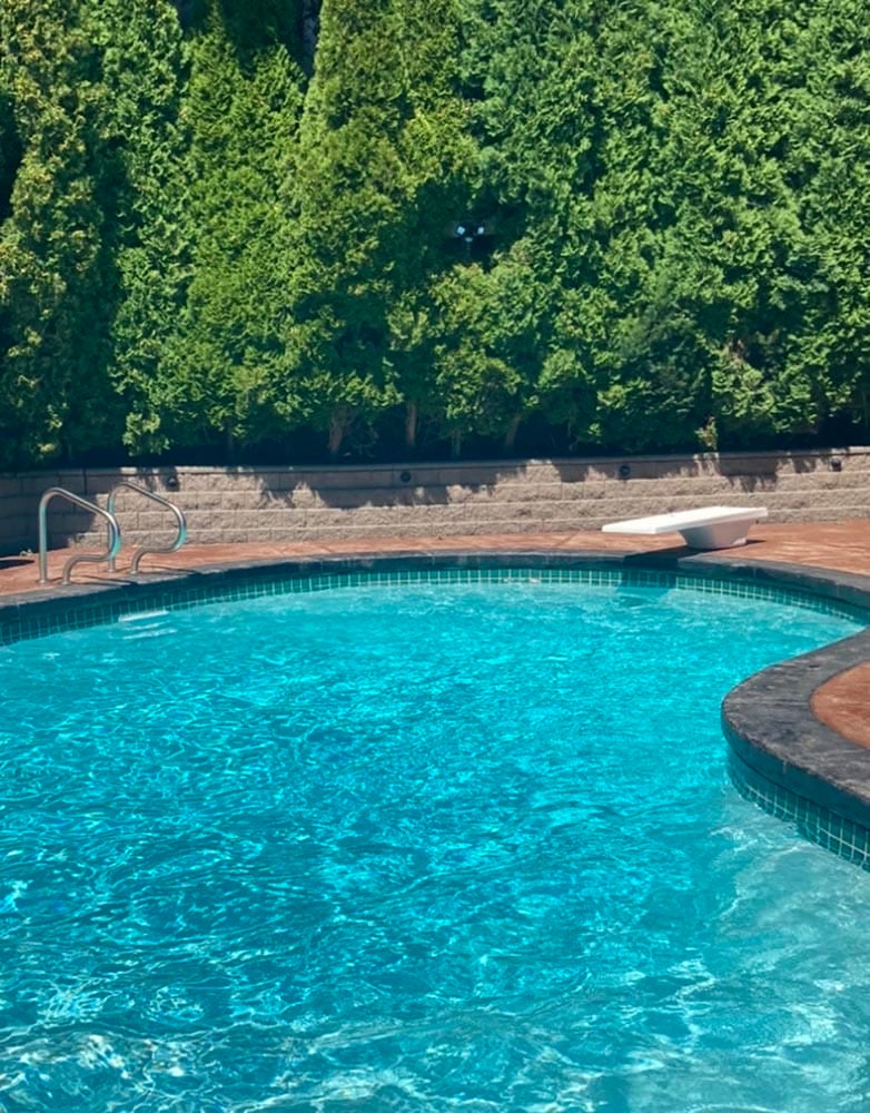 Pool Cleaning Hot Tub Maintenance Puddle Pool Services