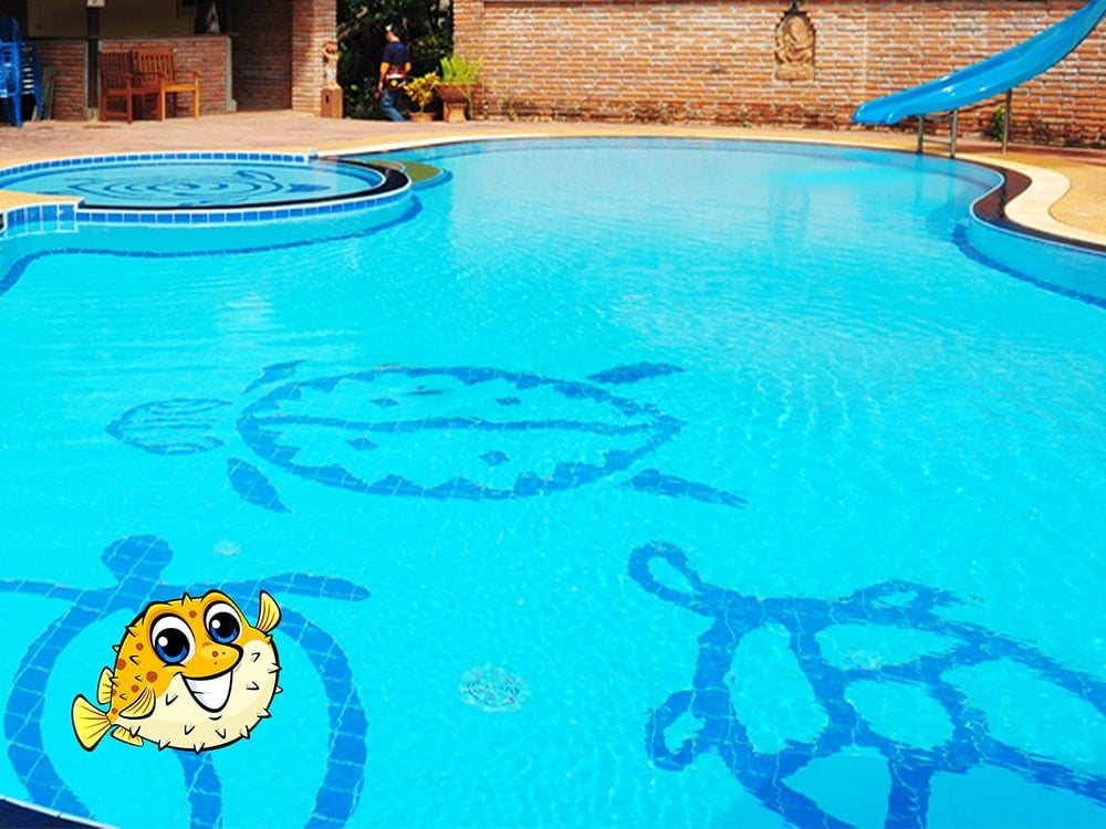 Henderson Pool Cleaning Service Puddle Pool Services