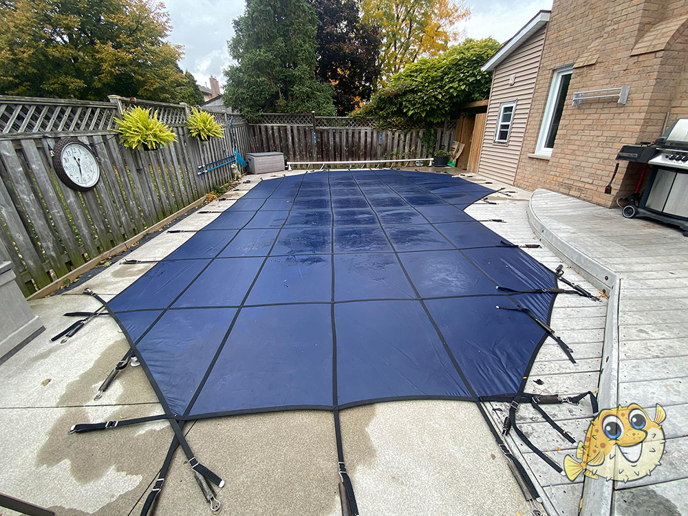 Henderson Pool Closing Service Puddle Pool Services