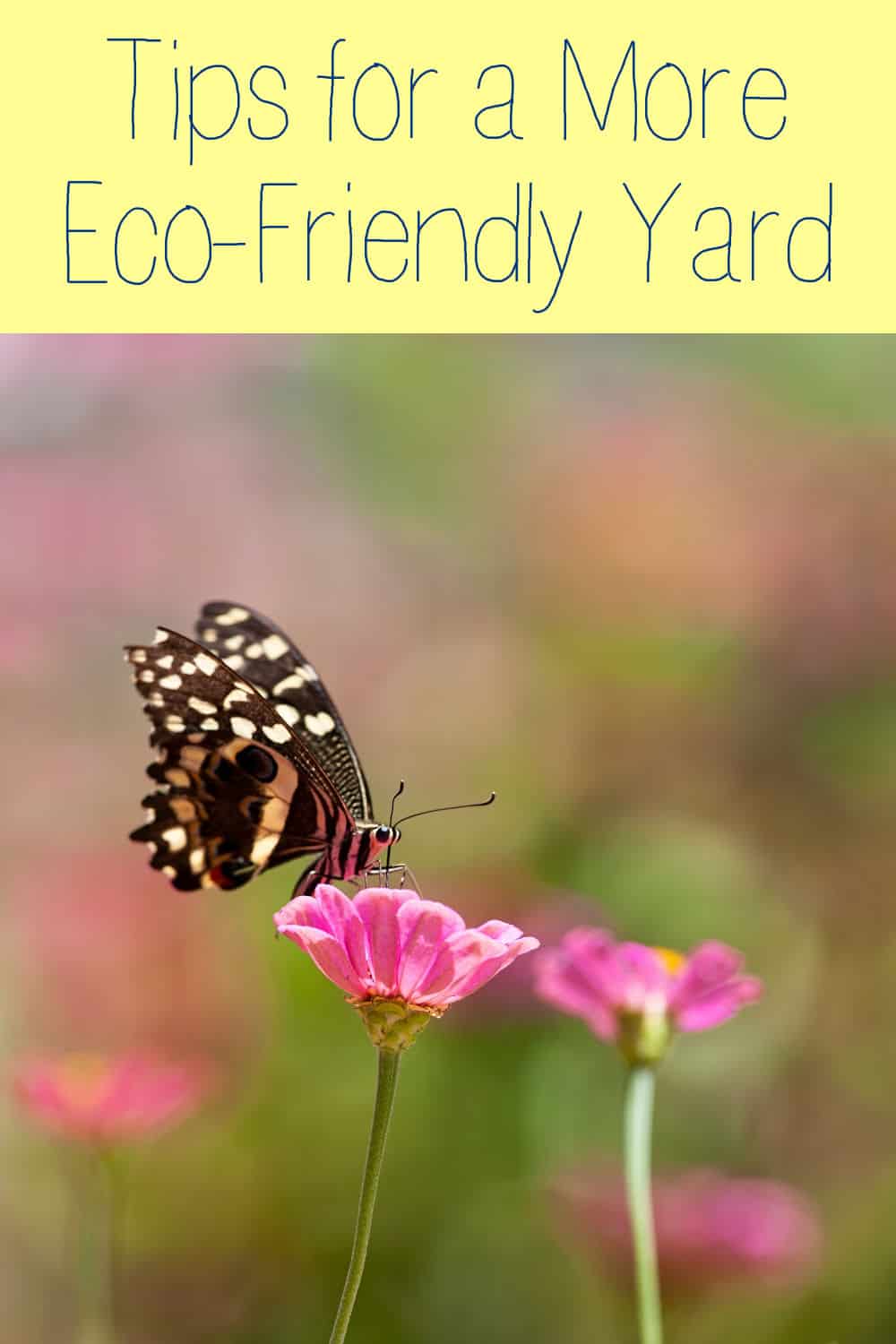 Tips for a More EcoFriendly Yard