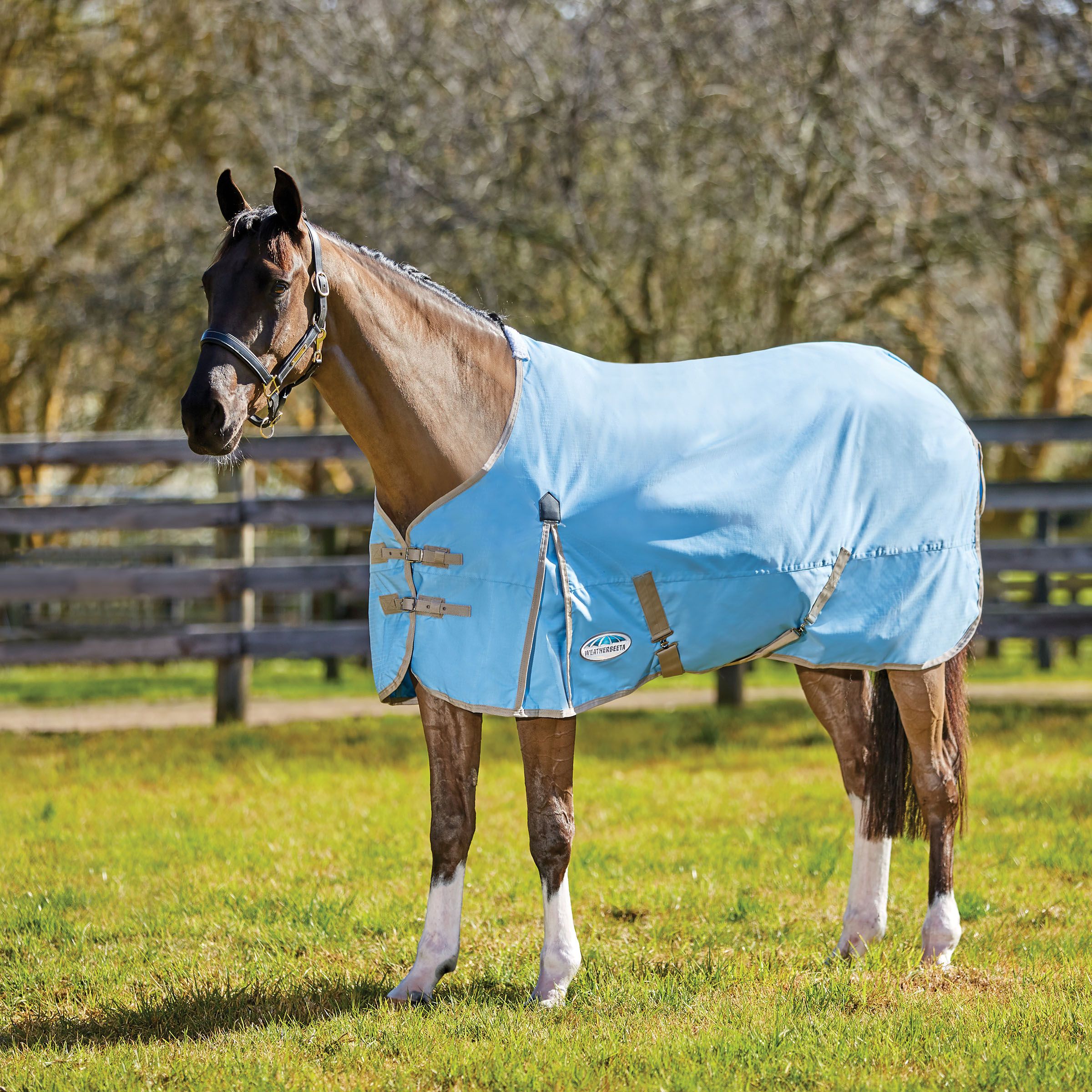 Weatherbeeta Comfitec Classic Lite Turnout rug. Standard Neck, no fill