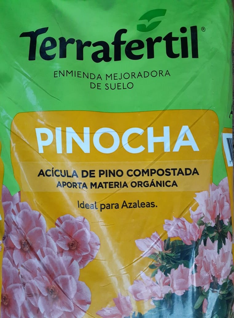 Pinocha Terrafertil Pueblo Florido