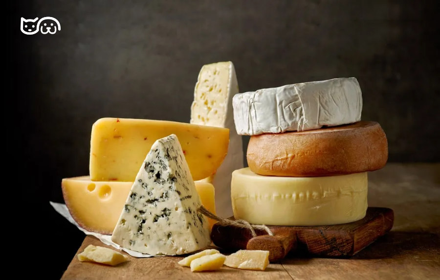¿Pueden Comer Queso los Perros? ¿Pueden Comer?