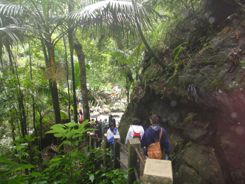 El Yunque 5 Puerto Rico