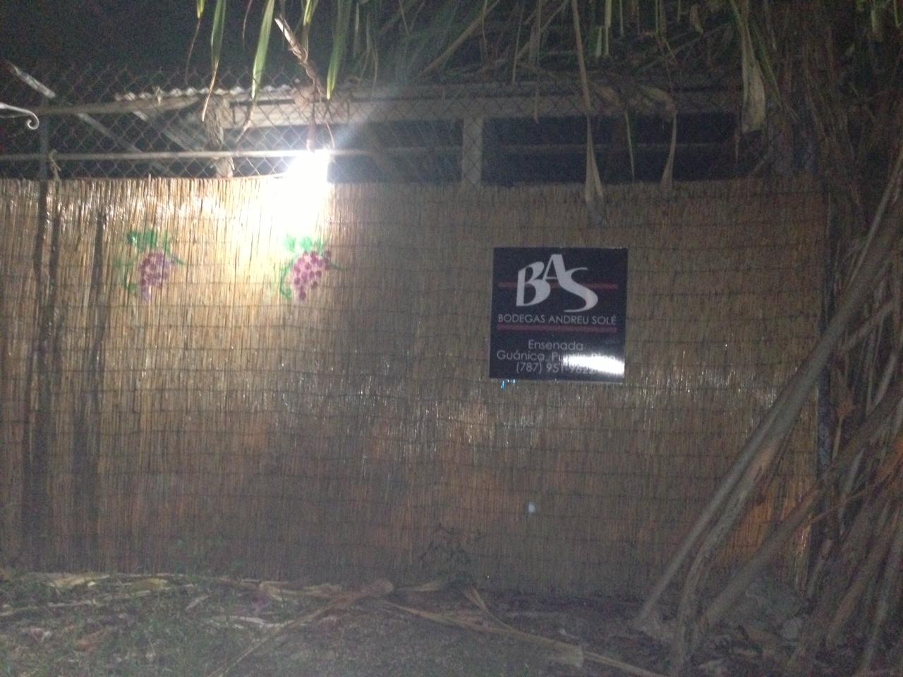 Andreu Sole Puerto Rico Vineyard Puerto Rico