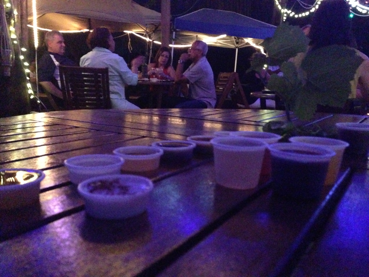 Andreu Sole Puerto Rico Vineyard Puerto Rico