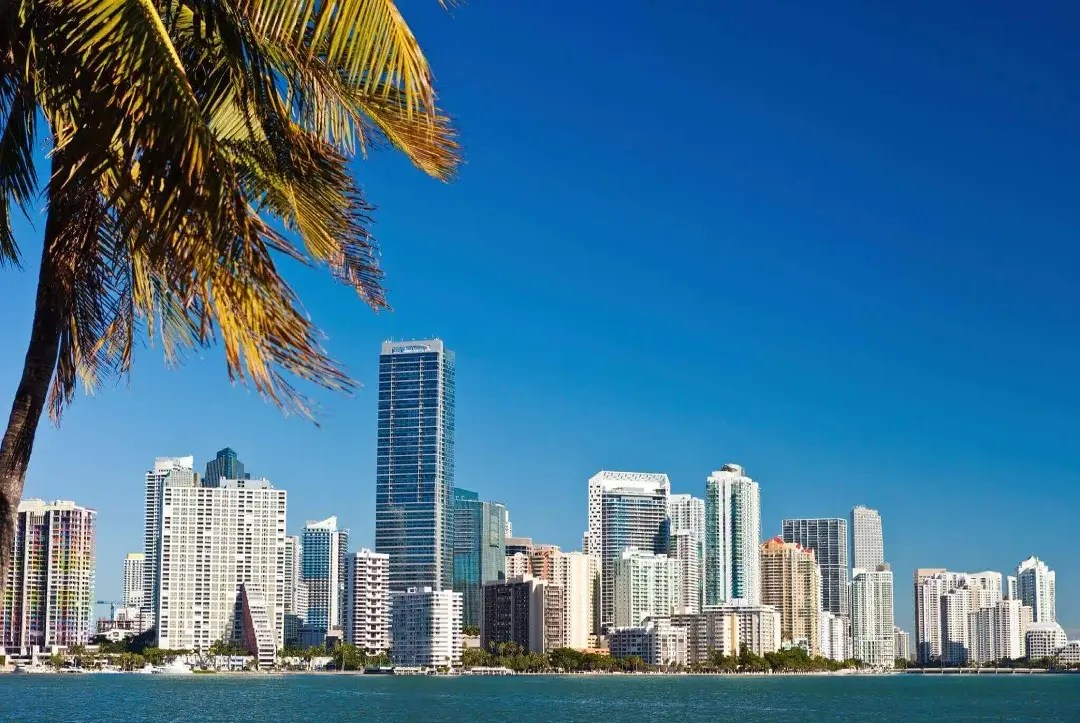 Hookah Rentals with Delivery in Miami Order Online Puff Hookah