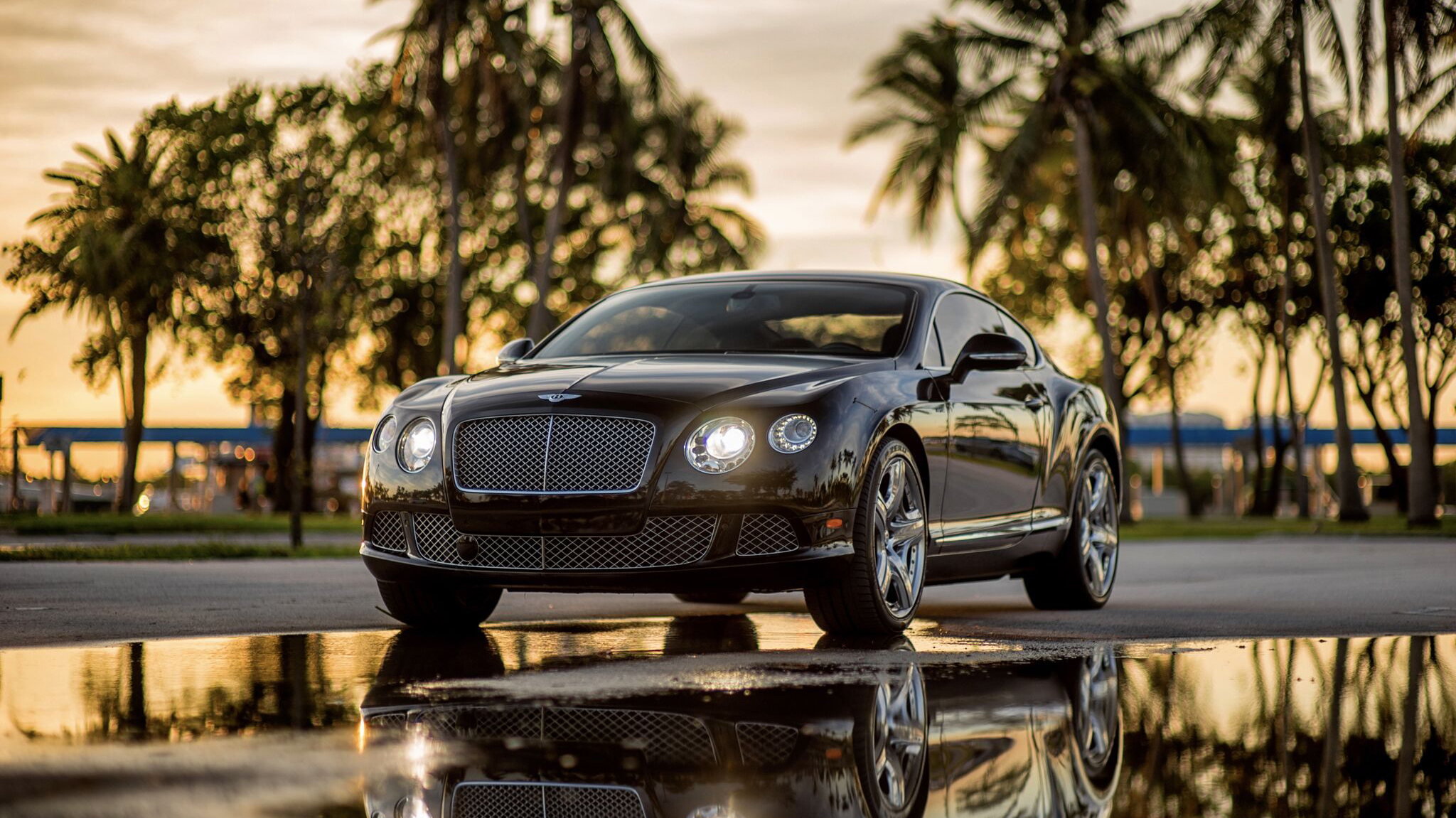 Luxury Car Rentals Miami Exotic Car Rentals Miami Luxury Car Rental