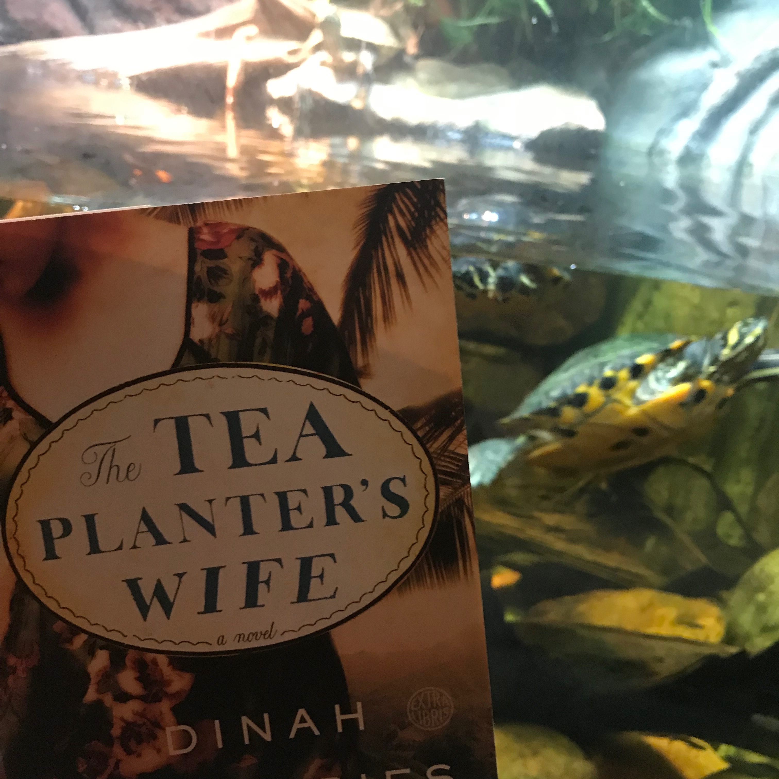 Attractive Tea Planter's Wife 2023
