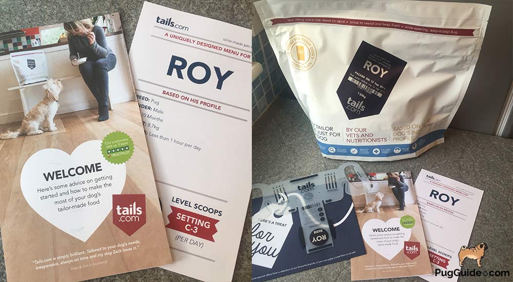 EzyDog Harness Review The Ezydog Quick Fit Harness For Small Dogs