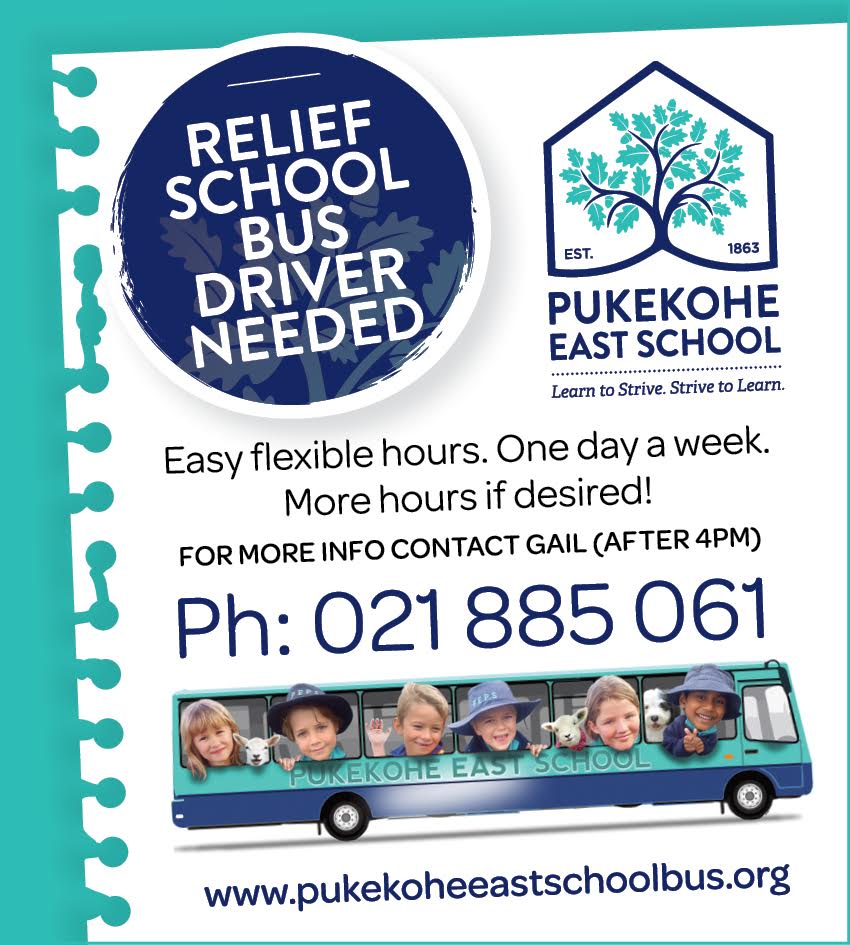 Bus Society Pukekohe East School Bus Page 3